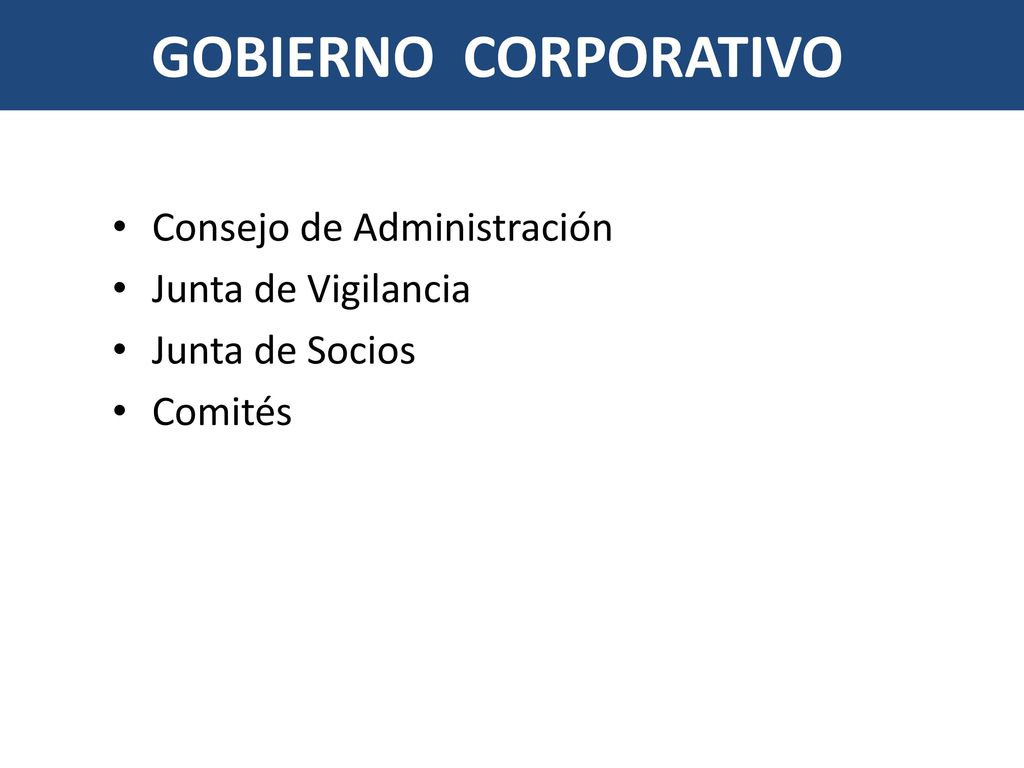 GOBIERNO CORPORATIVO Consejo de Administración Junta de Vigilancia