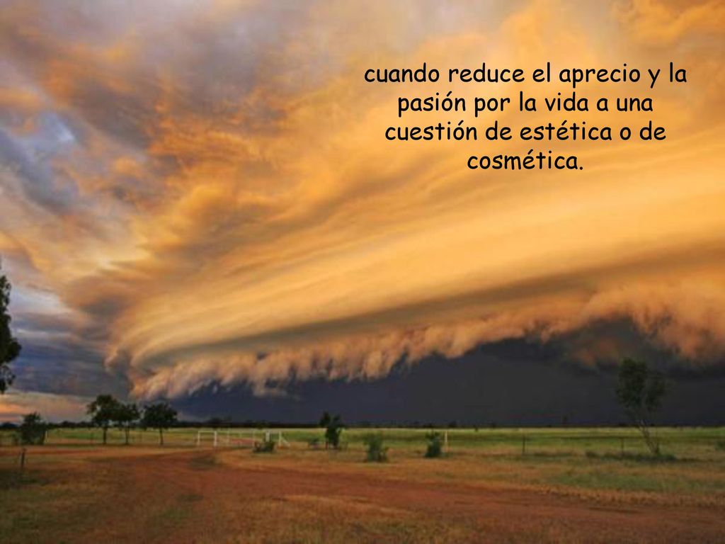 cuando reduce el aprecio y la pasión por la vida a una cuestión de estética o de cosmética.