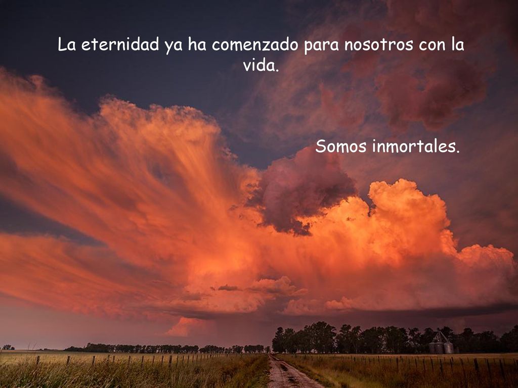 La eternidad ya ha comenzado para nosotros con la vida.