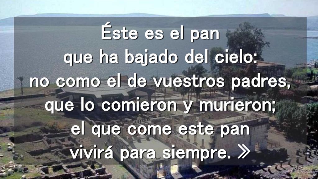 Éste es el pan que ha bajado del cielo: no como el de vuestros padres, que lo comieron y murieron; el que come este pan vivirá para siempre.