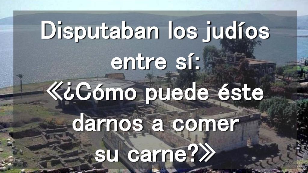 Disputaban los judíos entre sí: «¿Cómo puede éste darnos a comer su carne »