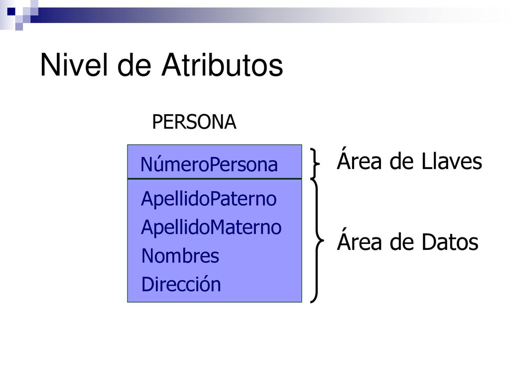 Nivel de Atributos Área de Llaves Área de Datos PERSONA NúmeroPersona