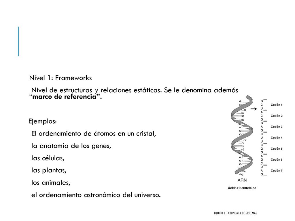 El ordenamiento de átomos en un cristal, la anatomía de los genes,