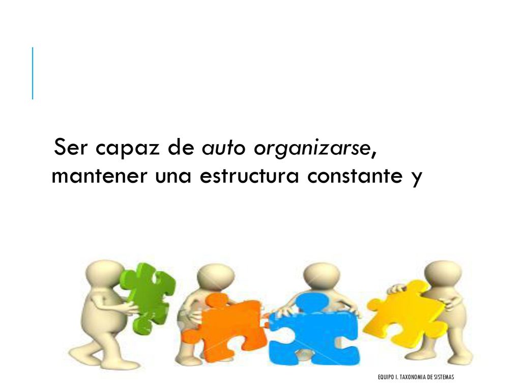 Ser capaz de auto organizarse, mantener una estructura constante y modificarla de acuerdo a las exigencias (equilibrio).