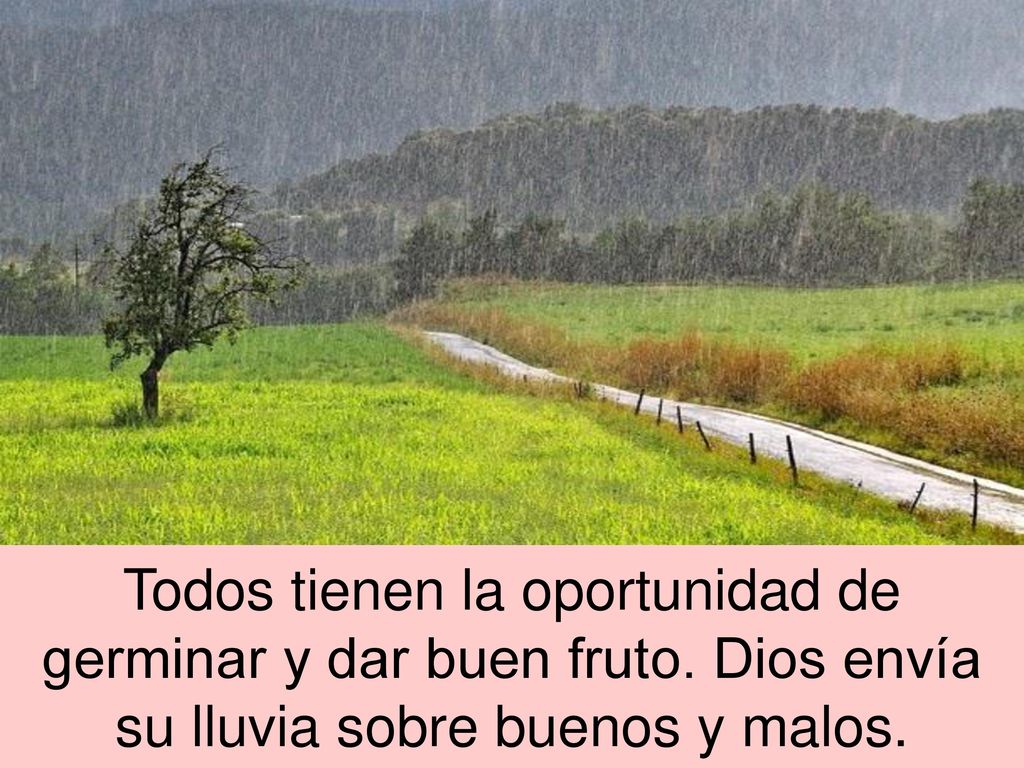Todos tienen la oportunidad de germinar y dar buen fruto