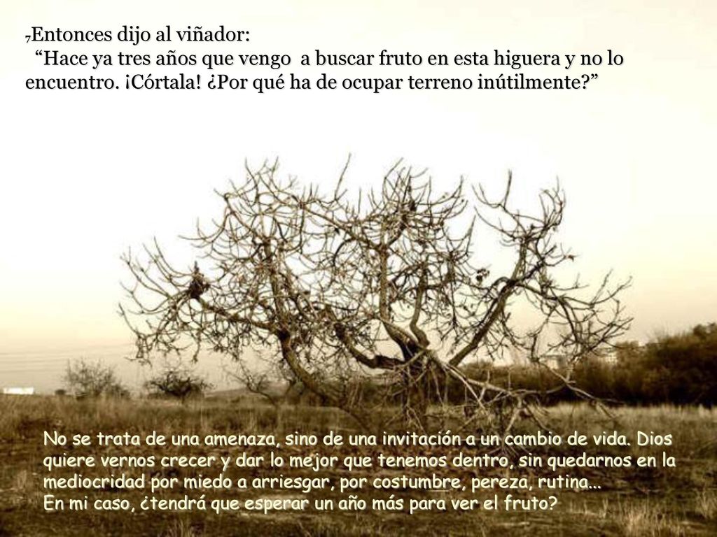 7Entonces dijo al viñador: Hace ya tres años que vengo a buscar fruto en esta higuera y no lo encuentro. ¡Córtala! ¿Por qué ha de ocupar terreno inútilmente