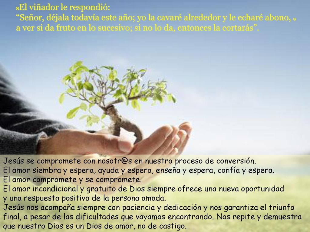 8El viñador le respondió: Señor, déjala todavía este año; yo la cavaré alrededor y le echaré abono, 9 a ver si da fruto en lo sucesivo; si no lo da, entonces la cortarás .