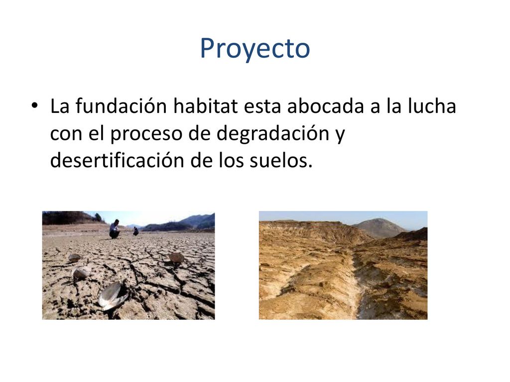 Proyecto La fundación habitat esta abocada a la lucha con el proceso de degradación y desertificación de los suelos.