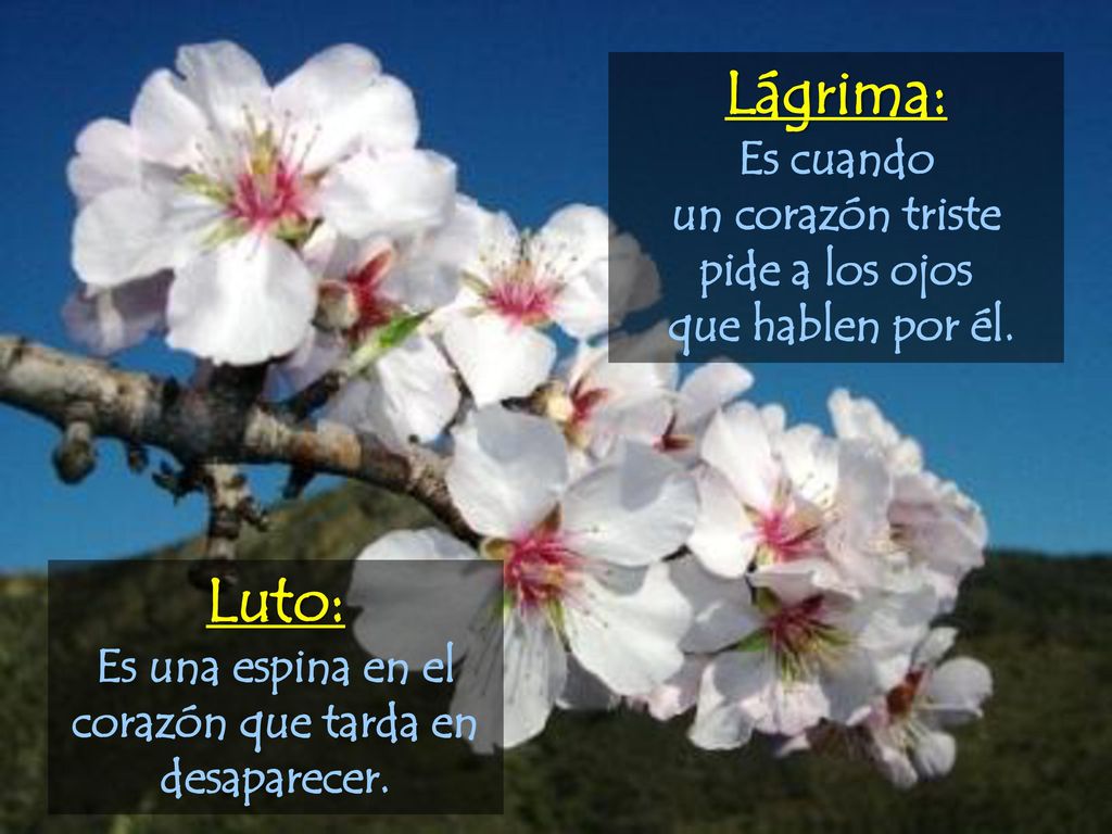 Es una espina en el corazón que tarda en desaparecer.