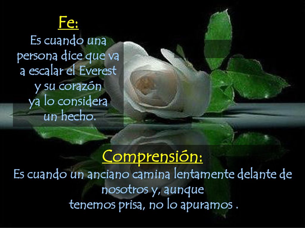 Fe: Es cuando una persona dice que va a escalar el Everest y su corazón. ya lo considera. un hecho.