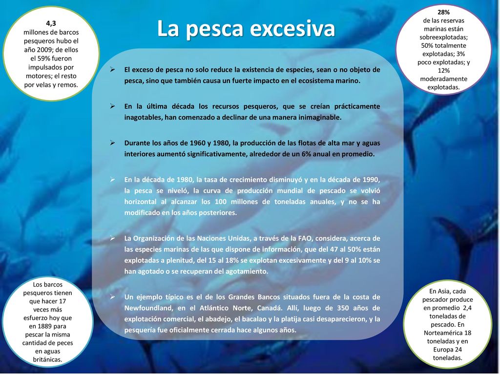 4,3 millones de barcos pesqueros hubo el año 2009; de ellos el 59% fueron impulsados por motores; el resto por velas y remos.