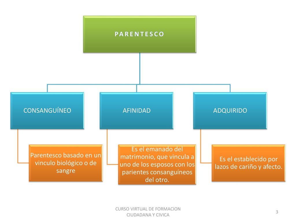 Parentesco basado en un vinculo biológico o de sangre AFINIDAD