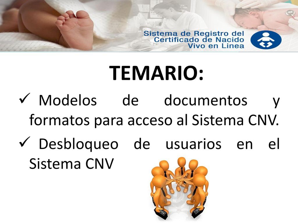TEMARIO: Modelos de documentos y formatos para acceso al Sistema CNV.