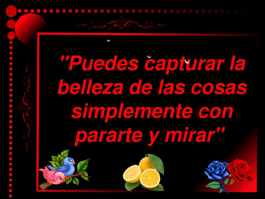 Puedes capturar la belleza de las cosas simplemente con pararte y mirar