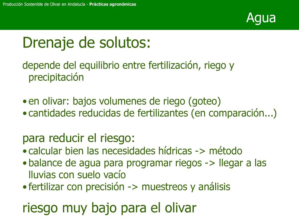 Drenaje de solutos: Agua riesgo muy bajo para el olivar
