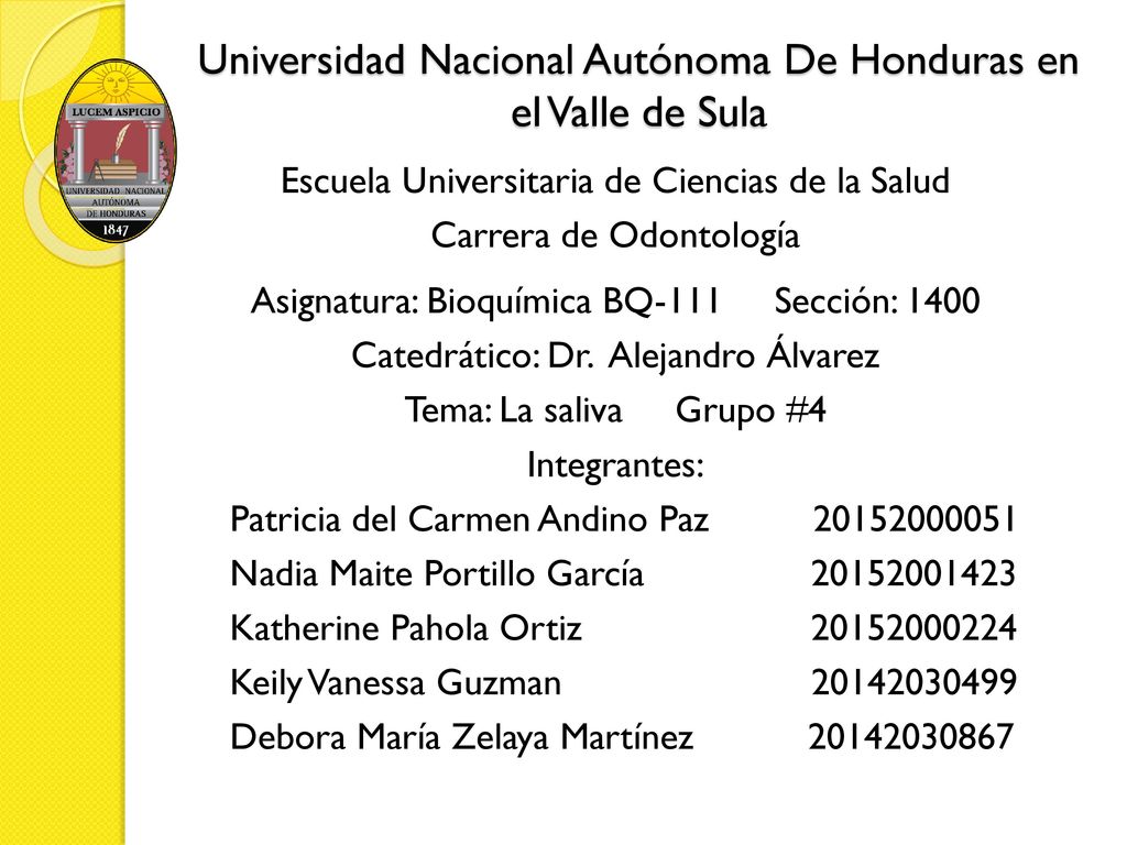 Universidad Nacional Autónoma De Honduras en el Valle de Sula