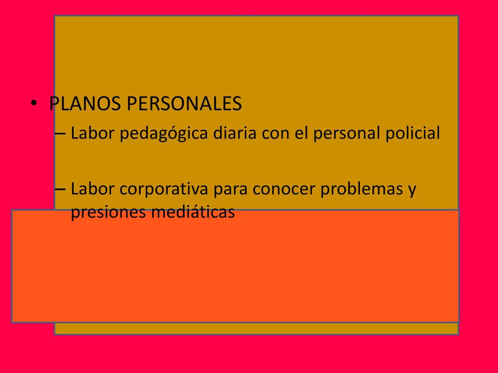 PLANOS PERSONALES Labor pedagógica diaria con el personal policial
