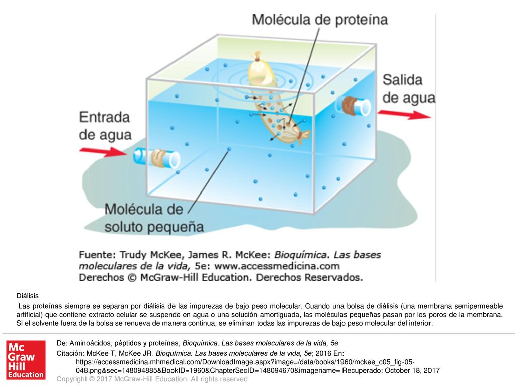 Las proteínas siempre se separan por diálisis de las impurezas de bajo peso molecular. Cuando una bolsa de diálisis (una membrana semipermeable artificial) que contiene extracto celular se suspende en agua o una solución amortiguada, las moléculas pequeñas pasan por los poros de la membrana. Si el solvente fuera de la bolsa se renueva de manera continua, se eliminan todas las impurezas de bajo peso molecular del interior.