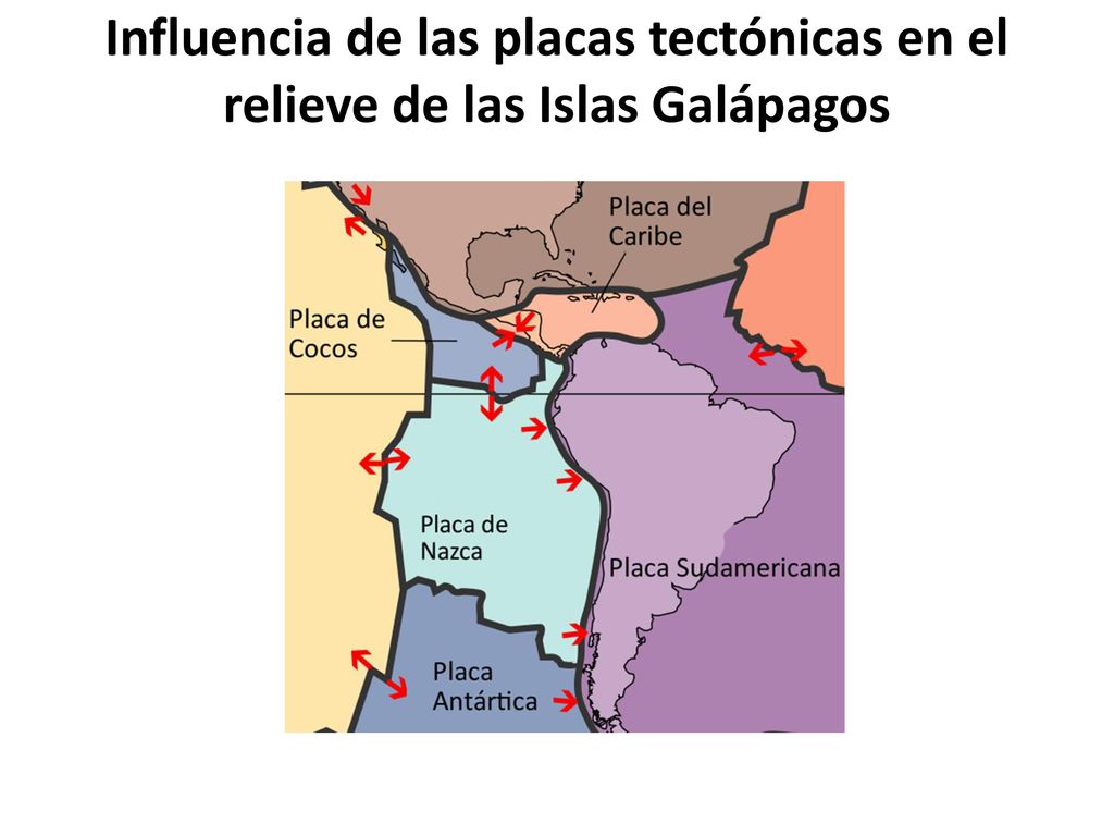 Influencia de las placas tectónicas en el relieve de las Islas Galápagos