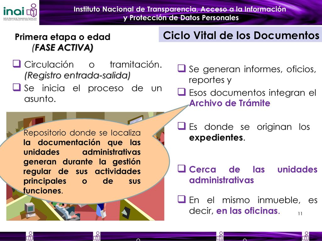 Primera etapa o edad (FASE ACTIVA)