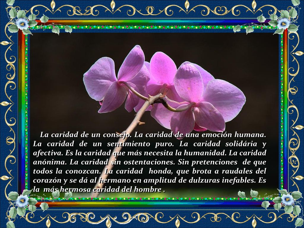 La caridad de un consejo. La caridad de una emoción humana