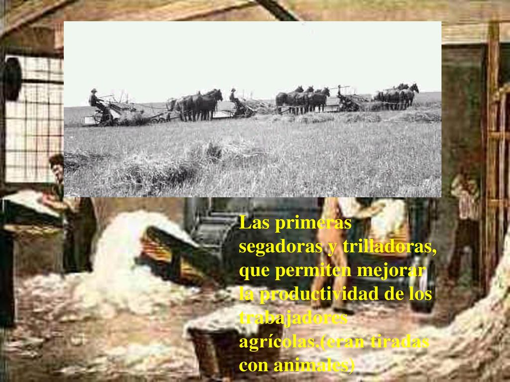 Las primeras segadoras y trilladoras, que permiten mejorar la productividad de los trabajadores agrícolas.(eran tiradas con animales)