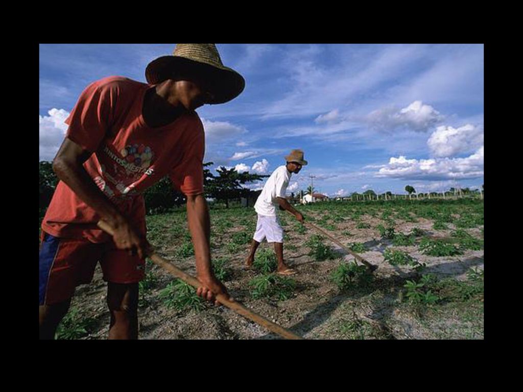 But we can also use it to help farmers in guatemala