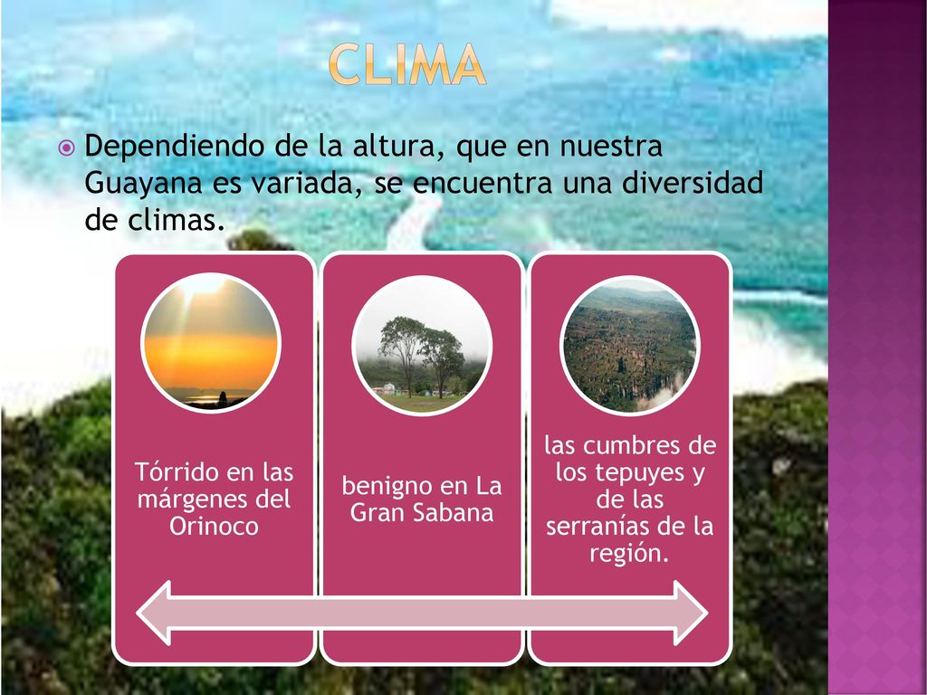 Clima Dependiendo de la altura, que en nuestra Guayana es variada, se encuentra una diversidad de climas.