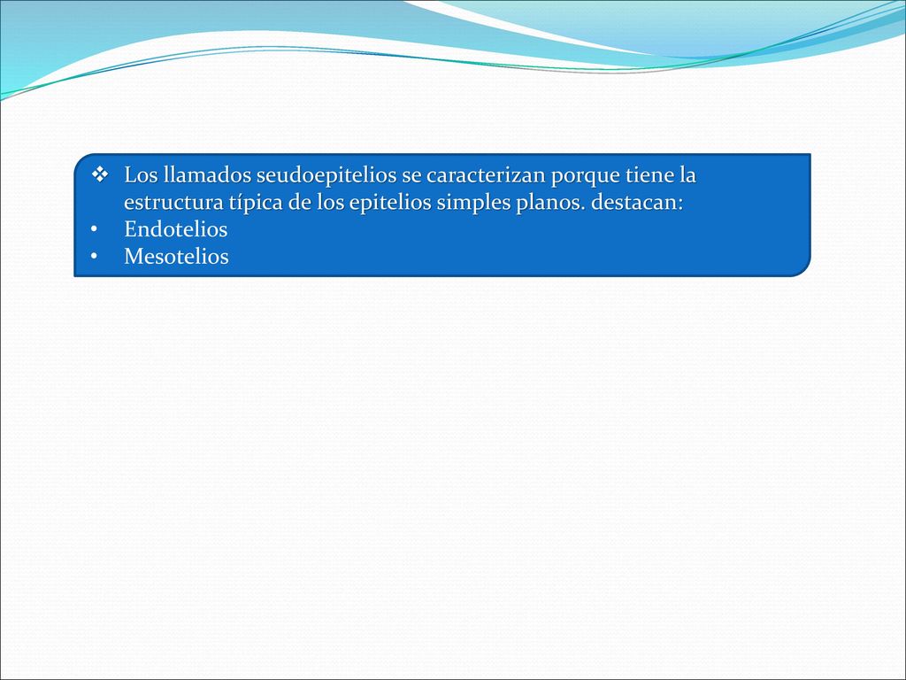 Los llamados seudoepitelios se caracterizan porque tiene la estructura típica de los epitelios simples planos. destacan: