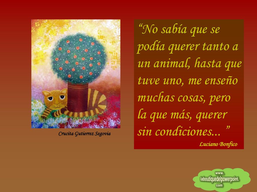 No sabía que se podía querer tanto a un animal, hasta que tuve uno, me enseño muchas cosas, pero la que más, querer sin condiciones...