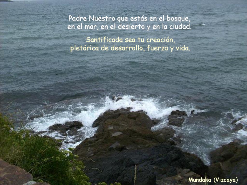 Santificada sea tu creación, pletórica de desarrollo, fuerza y vida.