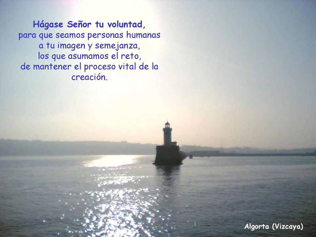 Hágase Señor tu voluntad, para que seamos personas humanas a tu imagen y semejanza, los que asumamos el reto, de mantener el proceso vital de la creación.