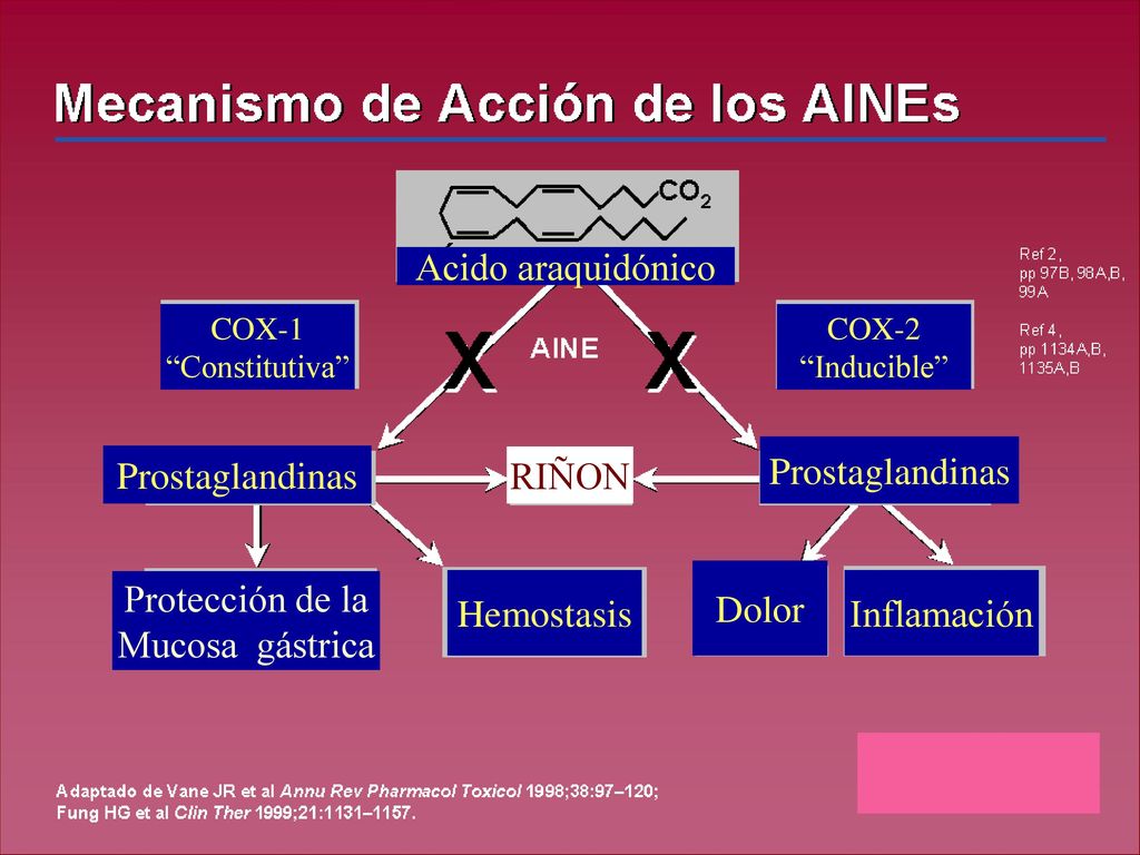 Acido araquidónico Prostaglandinas Prostaglandinas RIÑON Dolor