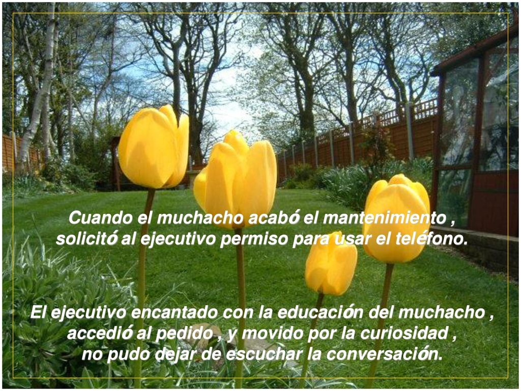 Cuando el muchacho acabó el mantenimiento , solicitó al ejecutivo permiso para usar el teléfono.