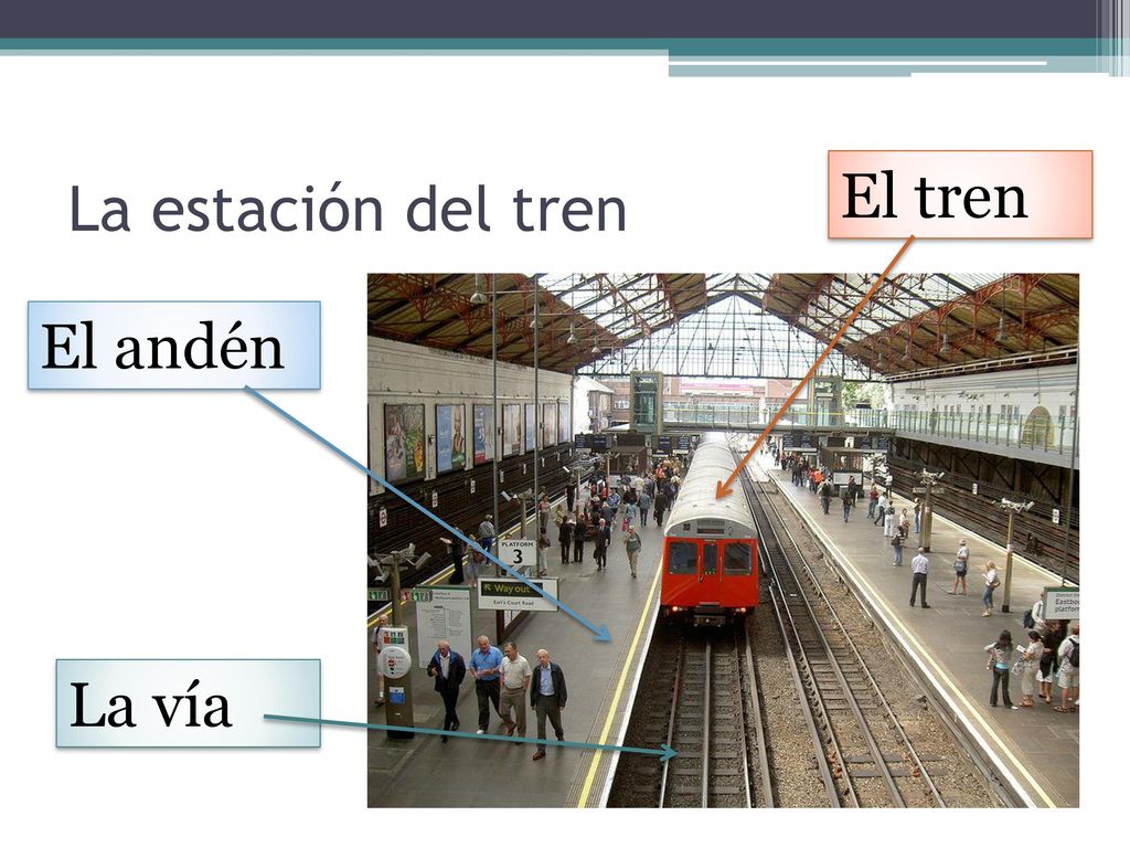 La estación del tren El tren El andén La vía