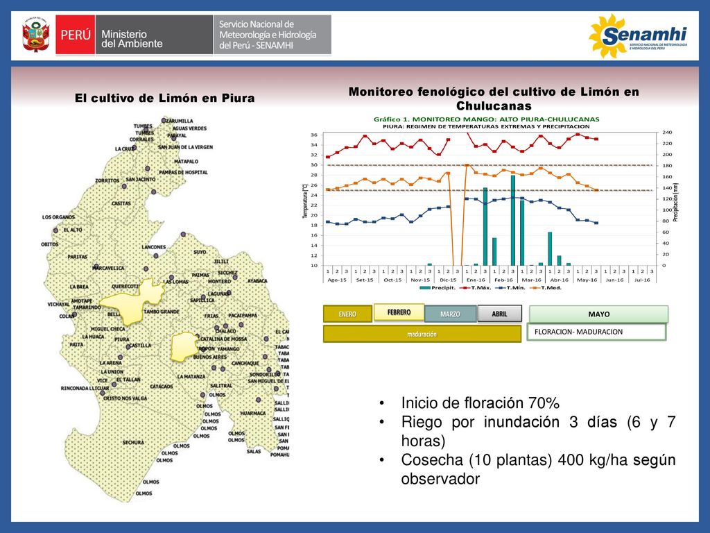 Riego por inundación 3 días (6 y 7 horas)
