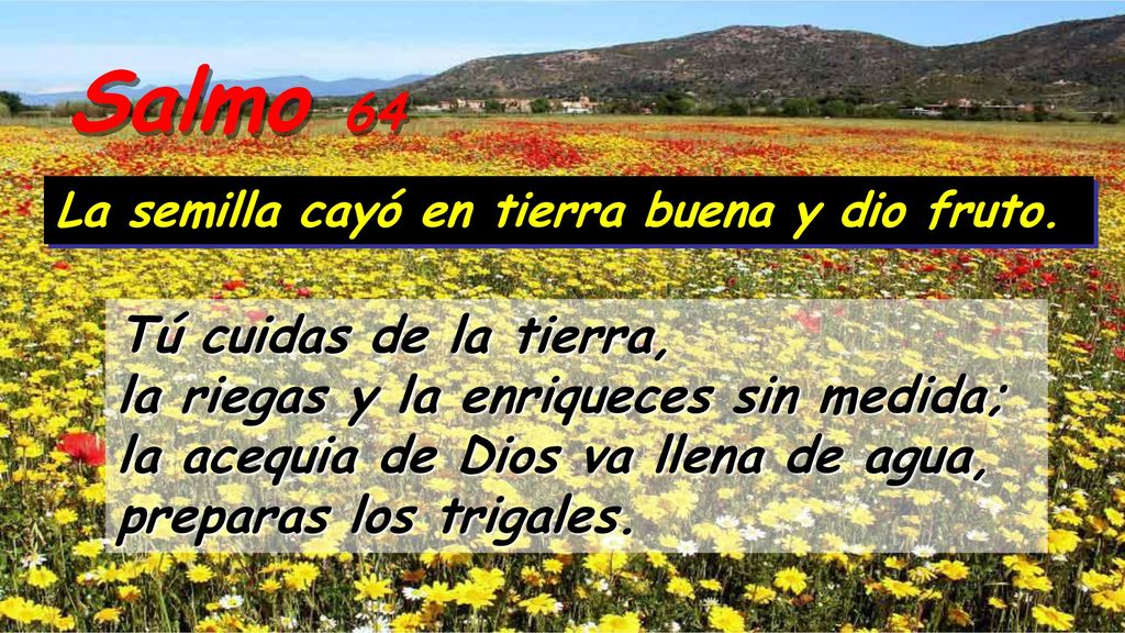Salmo 64 La semilla cayó en tierra buena y dio fruto.