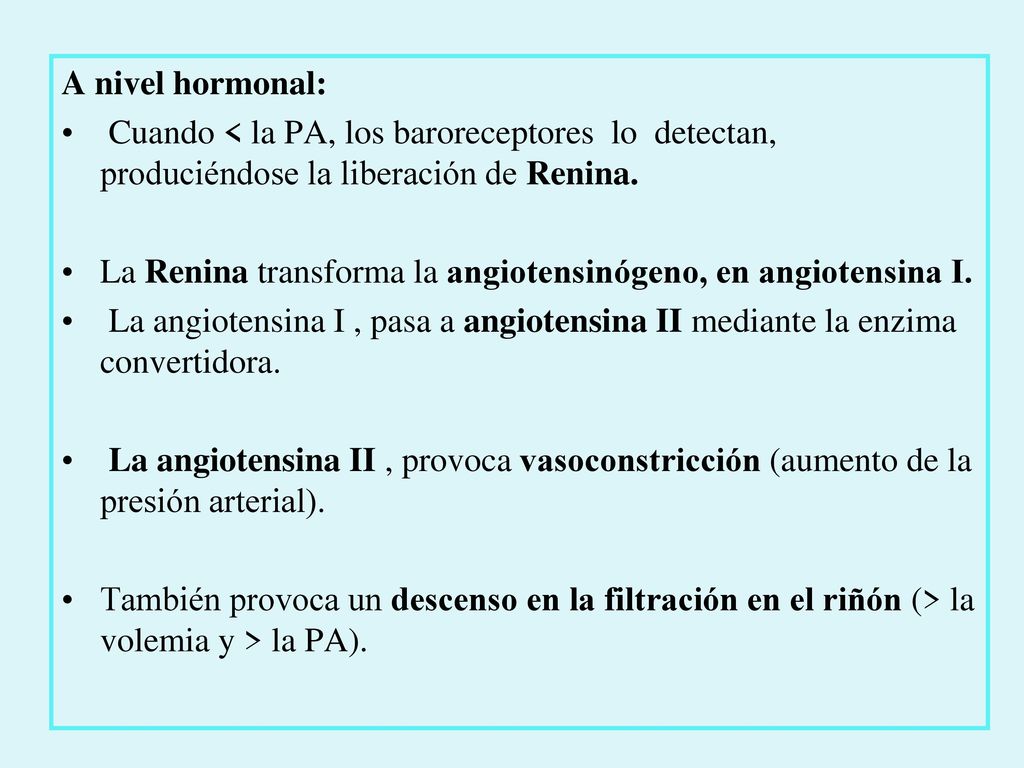 A nivel hormonal: Cuando < la PA, los baroreceptores lo detectan, produciéndose la liberación de Renina.