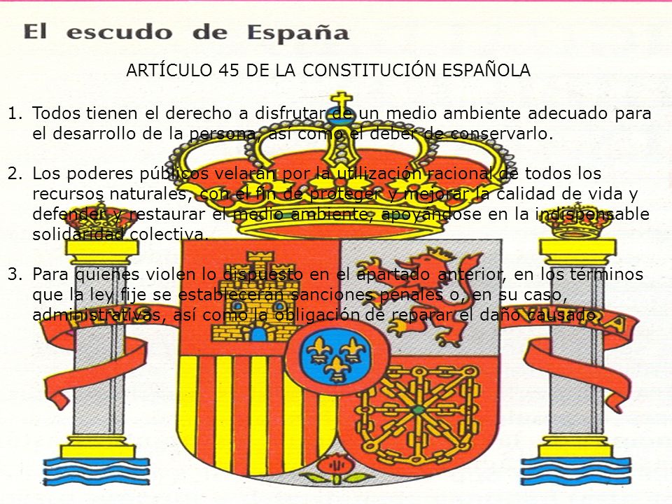 ARTÍCULO 45 DE LA CONSTITUCIÓN ESPAÑOLA