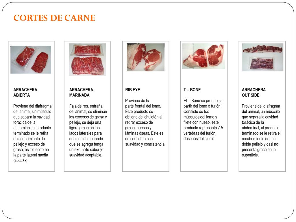 CORTES DE CARNE ARRACHERA ABIERTA Proviene del diafragma