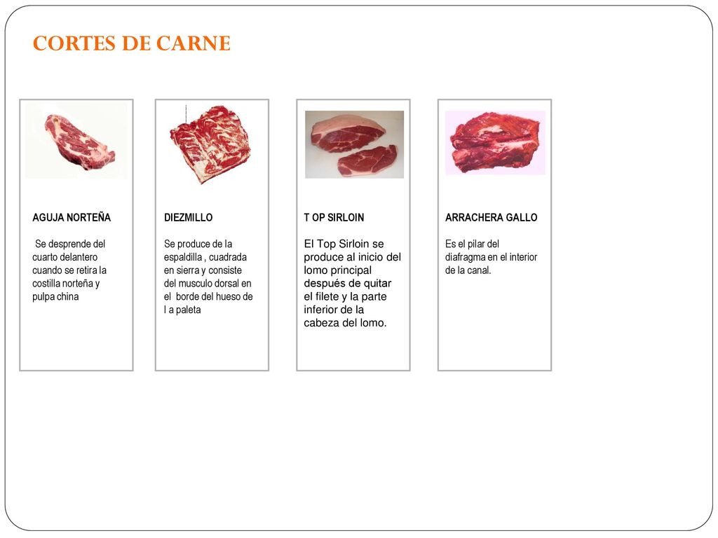 CORTES DE CARNE AGUJA NORTEÑA Se desprende del cuarto delantero