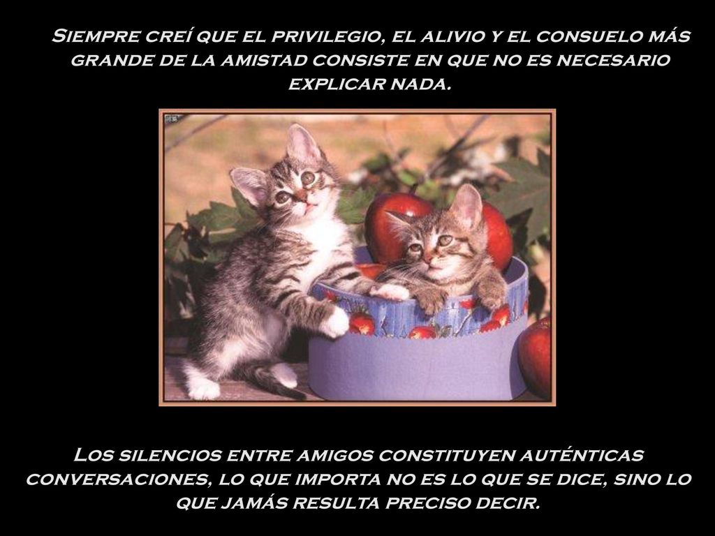Siempre creí que el privilegio, el alivio y el consuelo más grande de la amistad consiste en que no es necesario explicar nada.