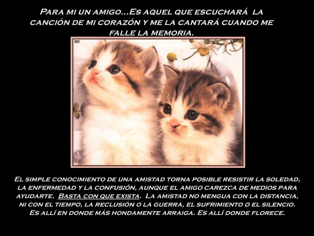 Para mi un amigo...Es aquel que escuchará la canción de mi corazón y me la cantará cuando me falle la memoria.