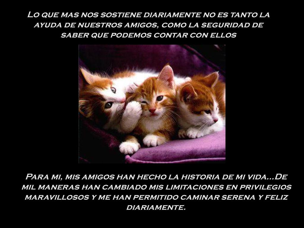 Lo que mas nos sostiene diariamente no es tanto la ayuda de nuestros amigos, como la seguridad de saber que podemos contar con ellos