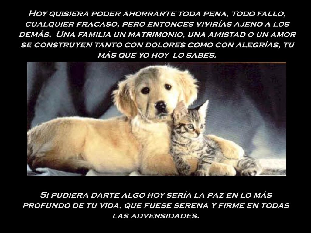 Hoy quisiera poder ahorrarte toda pena, todo fallo, cualquier fracaso, pero entonces vivirías ajeno a los demás. Una familia un matrimonio, una amistad o un amor se construyen tanto con dolores como con alegrías, tu más que yo hoy lo sabes.