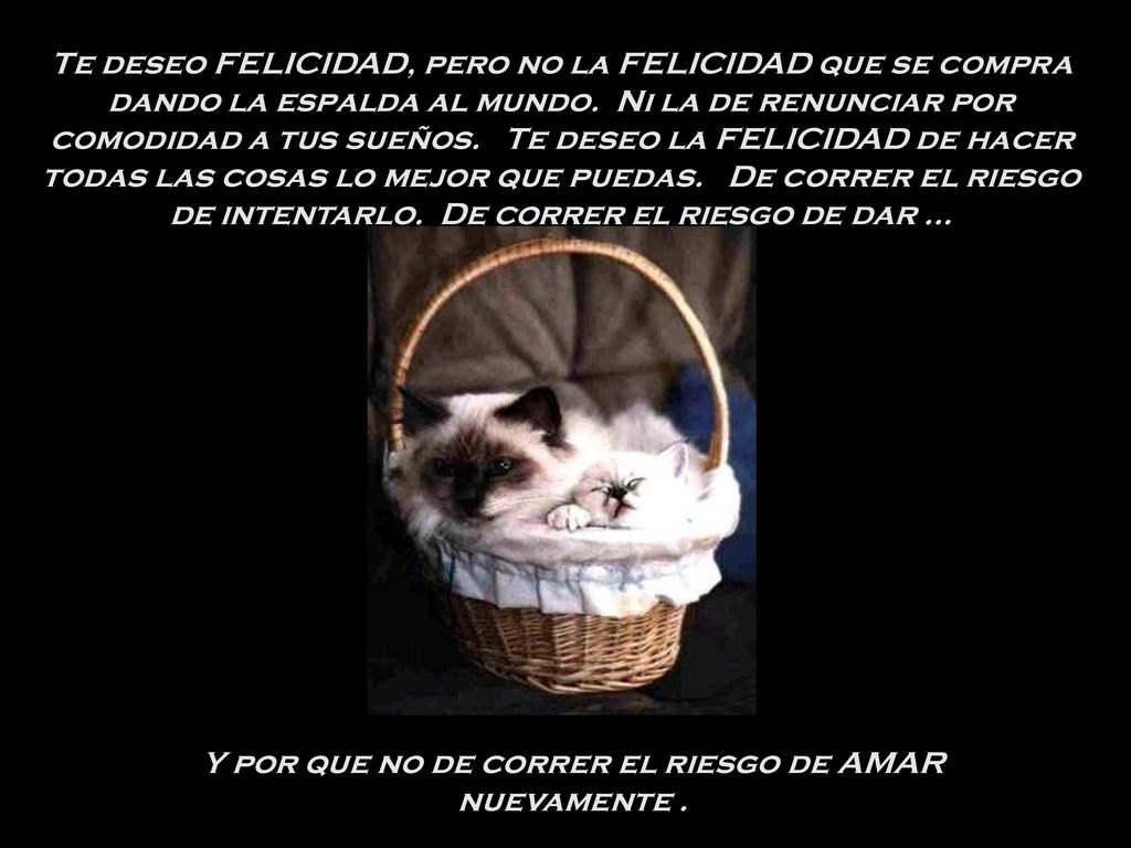 Y por que no de correr el riesgo de AMAR nuevamente .