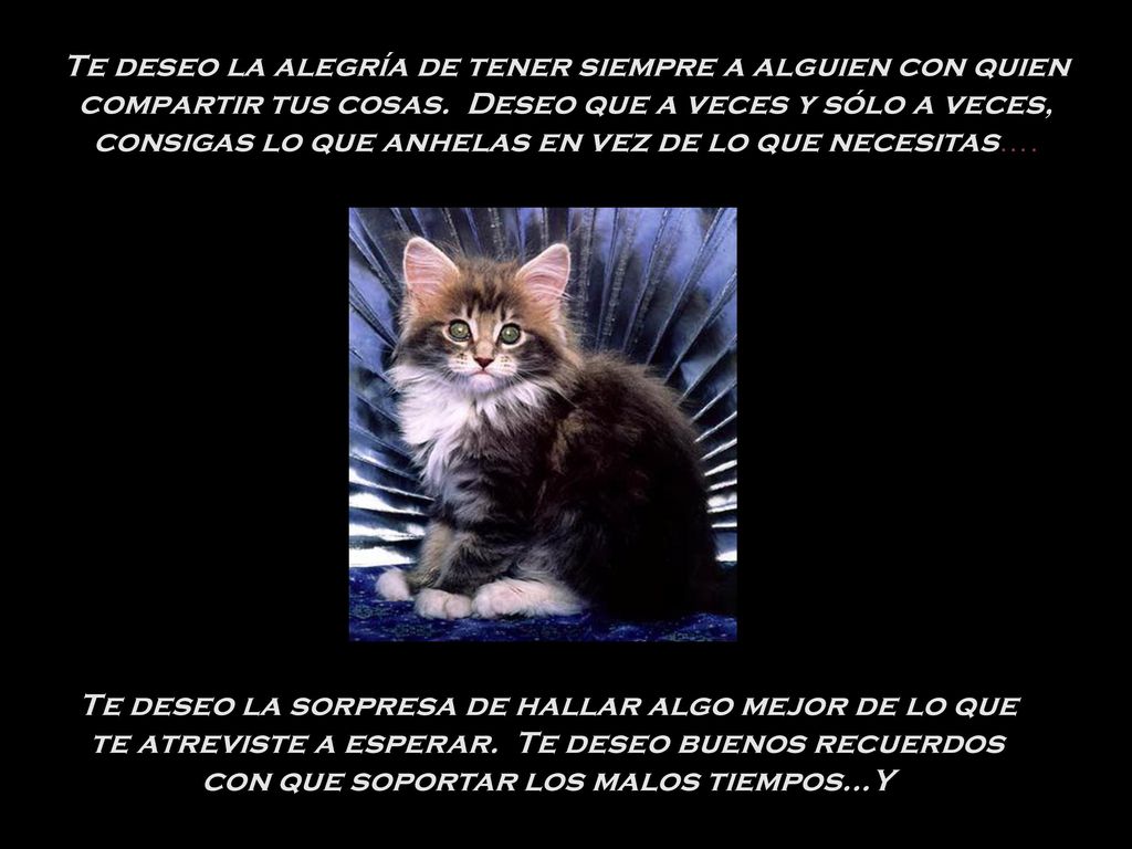 Te deseo la alegría de tener siempre a alguien con quien compartir tus cosas. Deseo que a veces y sólo a veces, consigas lo que anhelas en vez de lo que necesitas….
