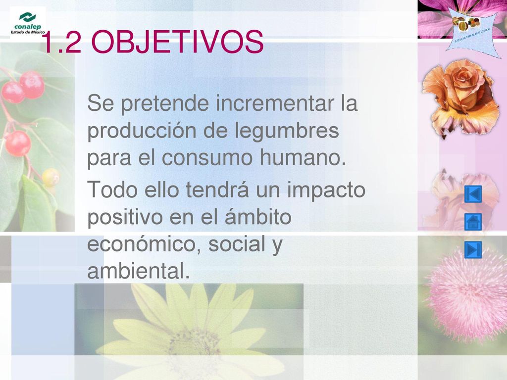 1.2 OBJETIVOS Se pretende incrementar la producción de legumbres para el consumo humano.