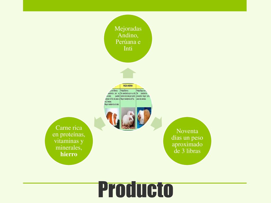 Producto Mejoradas Andino, Perúana e Inti