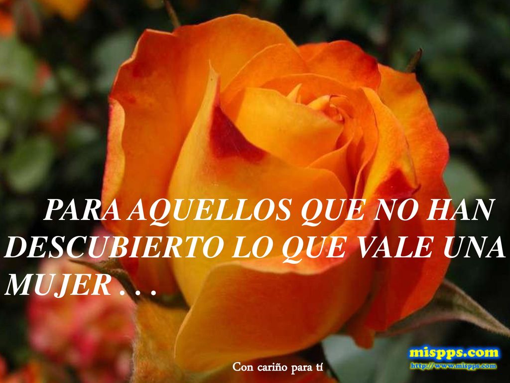 PARA AQUELLOS QUE NO HAN DESCUBIERTO LO QUE VALE UNA MUJER . . .